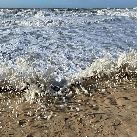 Apartment Comfy Near Sea