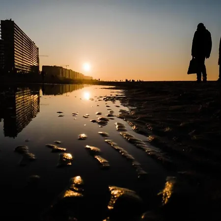 Great With View Apartment Ostende